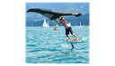 Dakine Cyclone Wing