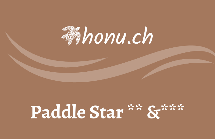 Kursabo 2026 Paddle Star** & Paddle Star***