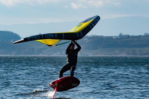 Miete Wing/Foil Board